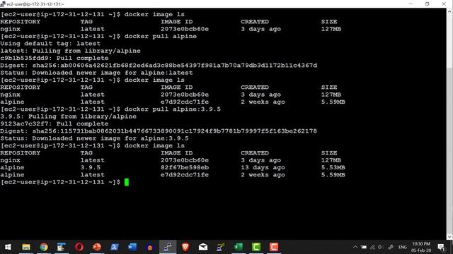 Docker Container Image Maintenance - Video 5 смотреть онлайн