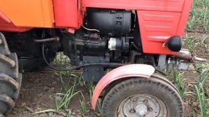 Обзор техники для выращивания чеснока. Overview technology for growing garlic.