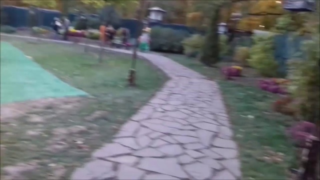 Экопарк Фельдмана смотреть онлайн