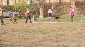 Рабочие кобели 2