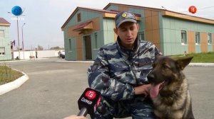 02.10.2019 В Южно Сахалинске начались соревнования среди кинологических служб