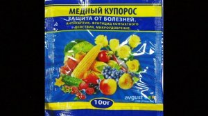 ЖЁЛТЫЕ листья у КЛЕМАТИСА !!! Что делать??? Устраняем причину и следствие .