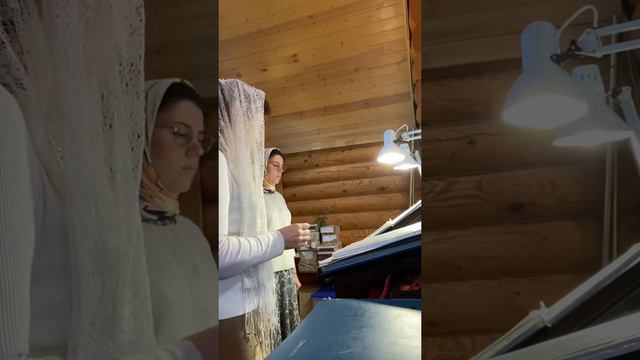 Когда один на клиросе.Херувимская Софрониевская. смотреть онлайн