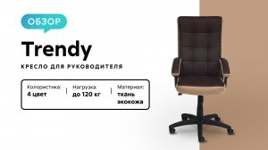 Обзор кресла для руководителя Trendy