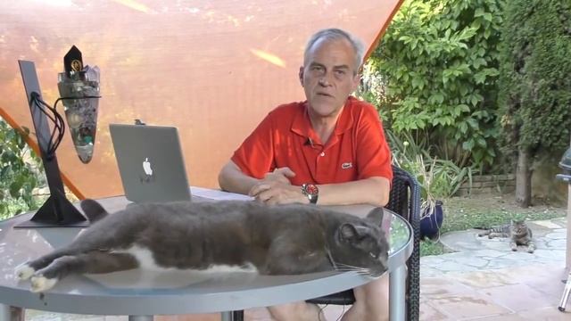 St.Clair Talks: Elven Oracle - Jet Stream Crossing Equator смотреть онлайн