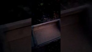 ПЫЛЬ В БАГАЖНИКЕ КАЛИНЫ!!! Замена клапана избыточного давления. Часть 2.