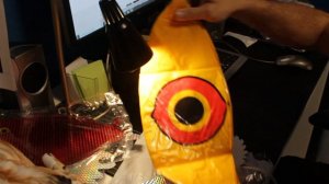 отпугиватели птиц начало