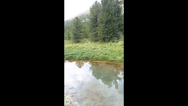Гейзер. Гейзеровое озеро в тайге 👈👍 Как выглядит гейзер