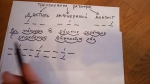 Видео 2. Трехсложные размеры стиха