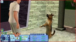 The Sims 3 Райские острова 14 | Собираем бутылки