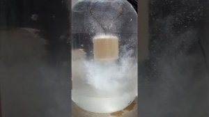 рабочий планктон по холодной воде  от PRO plankton