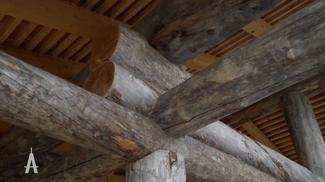 Обзор дома из кело через 3 года смотреть онлайн