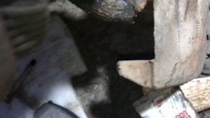 Замена колодок задних Ивеко дейли, какие лучше поставить? Сколько прошёл на колодках Pilenga