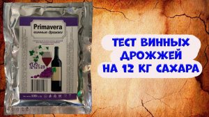 Primavera тест винных дрожжей на аппарате Люксталь 7