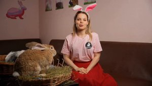 Ждем тебя в гости в самое милое антикафе с кроликами "Зайкафе" !