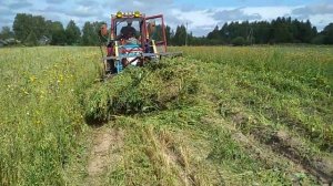 Уборка картофельной ботвы на тракторе Т25