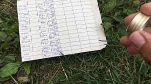 Первое включение металлоискателя MD4060. Настройки меню и короткий тест на глубину