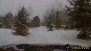 Рождественский лес 07 01 2017г