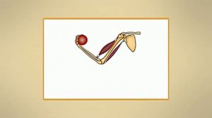 Тема урока. Как человек.двигается