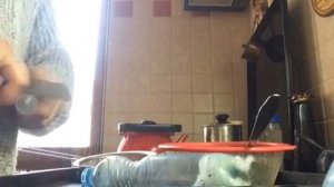Изготовление и заполнение угольно-цеолитового аквариумного фильтра "блондинка".