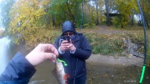 Серебряный ручей Рокфиш