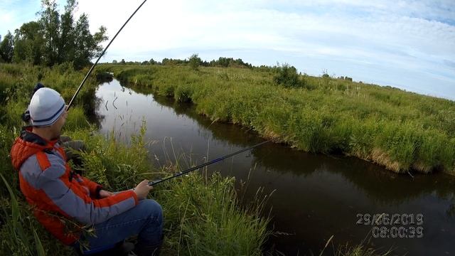 Рыбалка на поплавочную удочку. Окунь, елец, плотва, ротан на опарыша и мотыля смотреть онлайн