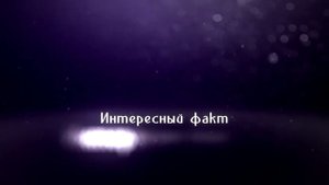 КУНЖУТ: ЧЕМ ОН СВЯЗАН С АЛИ-БАБОЙ?! Интересное о кунжуте!