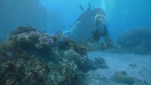 4 самых НЕОЖИДАННЫХ заброшенных корабля в истории