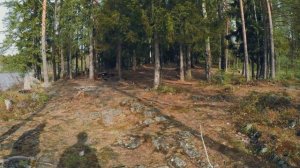 Отдых, рыбалка в Карелии Игнойла