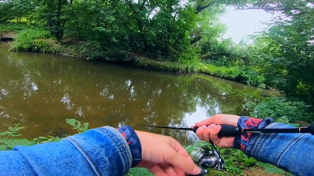 ТАРАКАНИНГ НЕ ПО ЗУБАМ! Трудовой голавль августа. Щука на топвотеры смотреть онлайн