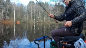 Рыбалка на матчевую и уклеечную удочки! Оторвался по полной!