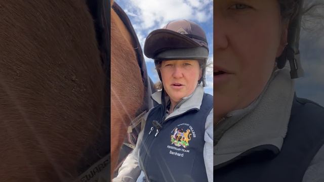 Ari Gold, an 11 year old Irish sport horse received DXN treatments for frequent abscesses