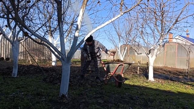 ПЕРЕЕХАЛИ НА КУБАНЬ.КОПТИМ САЛО.УБИРАЕМ ЛИСТВУ.ПОЗДРАВЛЯЕМ С НАСТУПАЮЩИМ.