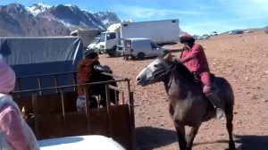 2020 - Улок Каромозор Тожикистон купкари 3-кисим ko'pkari_uloq