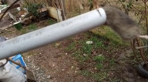 Мышеловка за 5 минут из подручных средств