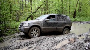 ML W163 Offroad: Лесная прогулка / forest ride