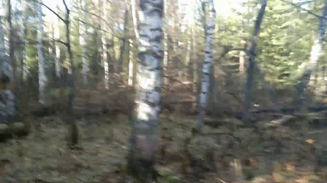 Ну вот и всё, сезон грибов окончен. 14.10.22 смотреть онлайн