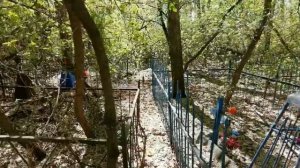 СТАРЫЕ  МОГИЛЫ. Заброшенное кладбище. Продолжение следует. 2 ч.