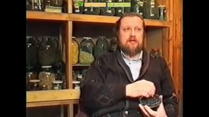 Черноплодная рябина (арония). Полезные свойства и применение аронии черноплодной