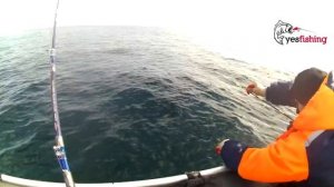 Териберка. Рыбалка на море. Киты атакуют. часть 2