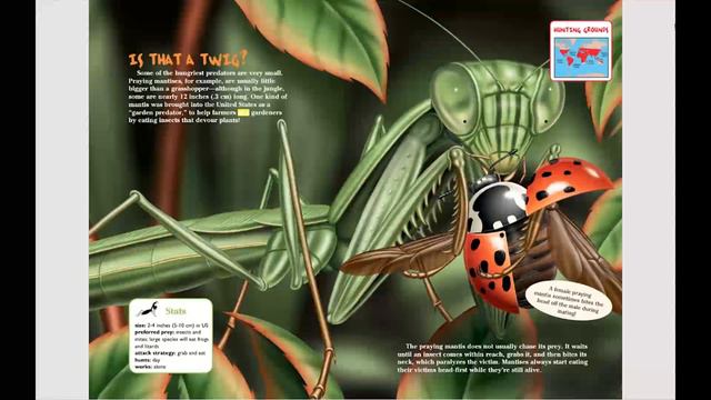 Know It Alls! Predators! - A Twin Sisters® eBook with Audio смотреть онлайн