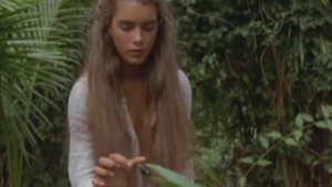 есть только миг