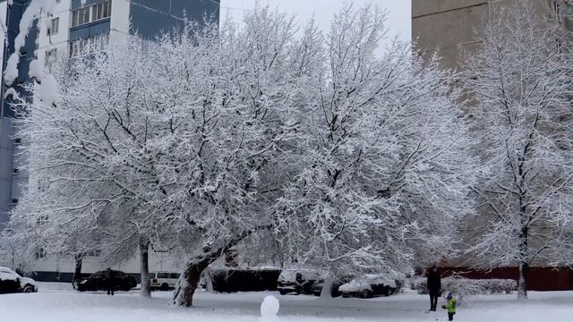 Фотоаппарат Canon EOS 850D. Тест видеосъёмки. В город пришла зима. смотреть онлайн