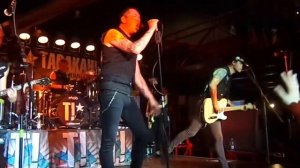 Тараканы! Пять слов