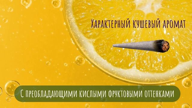 Зона чилаута смотреть онлайн