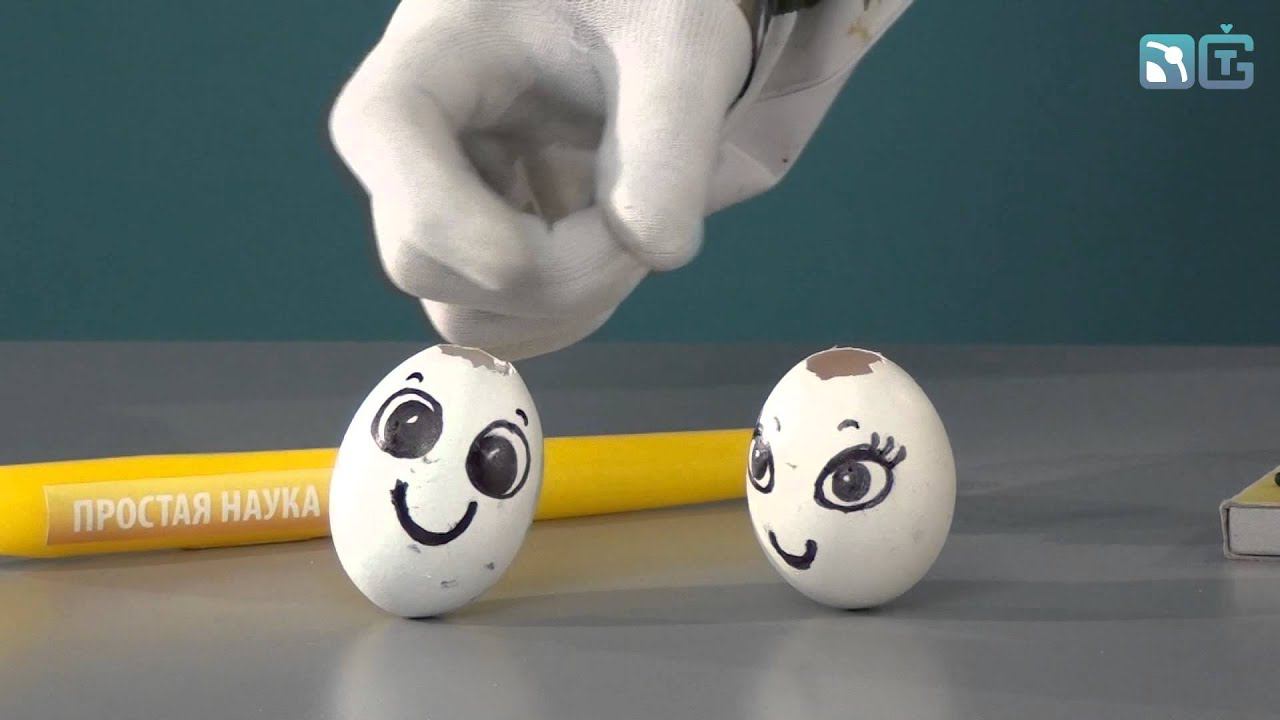 Книга 1 / Опыты с куриным яйцом / 23 - Яйца неваляшки смотреть онлайн