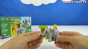 Lego Duplo 10904 Baby Animals - Лего Дупло 10904 Детишки животных. Строим из Lego Duplo.