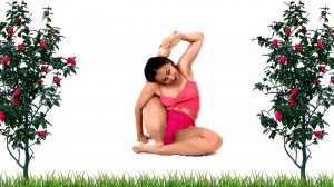 Йога для гибкости