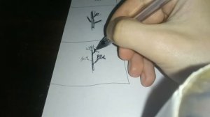 Как быстро нарисовать дерево без листьев?