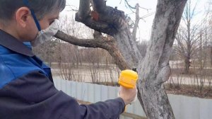 Краскопульт Deko DKSG600, работа.